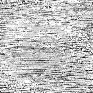 White and Black Dirty Texture Aged Wood. Painted