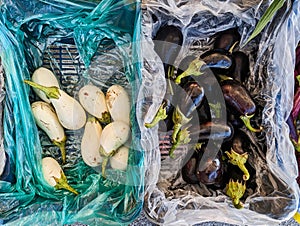 White and Black Eggplants, Greek Street Market