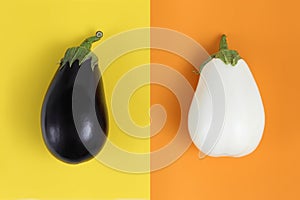 white and black eggplants isolated on yellow and orange background