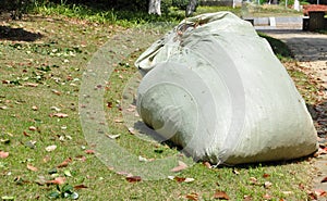 White and black garbage polyethylene bags on the grass