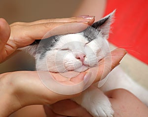 White with black kitten in hands
