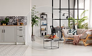 White and black minimal kitchen interior with bog plant in pot and things on coffee table