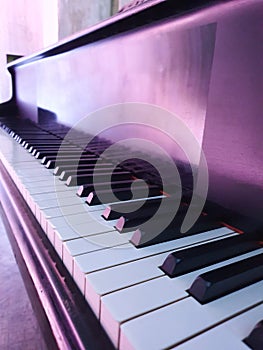 White black piano keys in purple light. Musical event. Close-up view