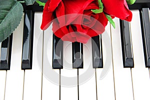 White and black piano keys and red rose flower