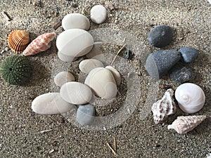 White and black stones sea urchin adn shells on the sand