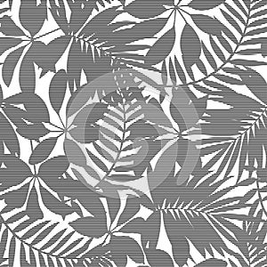 White and black striped tropical leaves seamless pattern