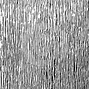 White and black wavy chaotic vertical lines texture. Abstract pa