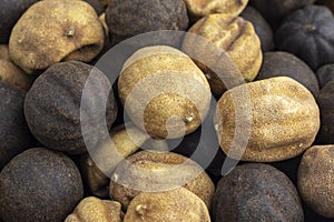 White and black whole dried lemons.