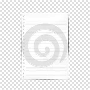 White blank lined A4 hole punched filler paper sheet for ring bound notebook on transparent background. Vector mock-up