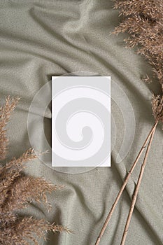 White blank paper card mockup with pampas dry grass on green neutral colored textile