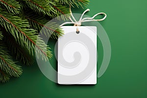White blank price tag on green background with Christmas tree branch. Copy space
