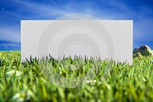 white blank rectangular paper in green grass. summer mockup on green meadow. Mock up for display of product. 3d rendering