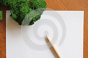 White blank sheet of paper and a pen on a wooden table, top view