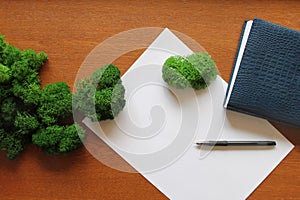 White blank sheet of paper and a pen on a wooden table, top view