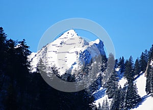 White blanket on alpine peak Mattstock or Mattstogg, 1936 m in Appenzell Alps massif, Alt St. Johann - Canton of St. Gallen