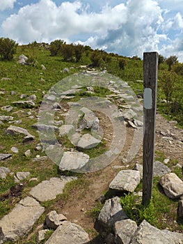 White Blaze on the Appalachian Trail