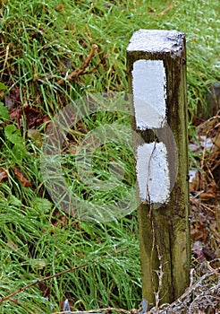 White Blazes on the Appalachian Trail