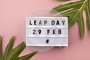 White block calendar present date 29 and month February and plant on pink background. Leap day