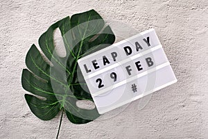 White block calendar present date 29 and month February and plant on rustic background. Leap day