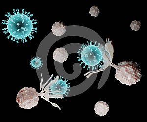 white blood cells attack virus