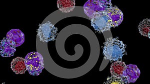 White blood cells flow, Basophils, Eosinophils, Lymphocyte, Monocyte, Neutrophils, Alpha Channel