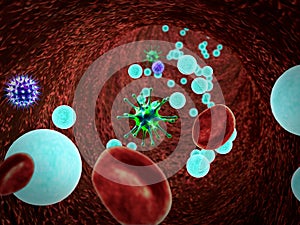 White blood cells inside the blood vessel