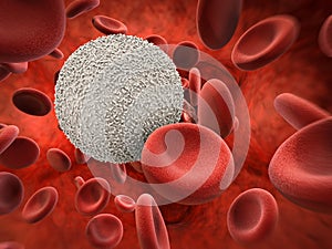 White blood cells with red blood cells