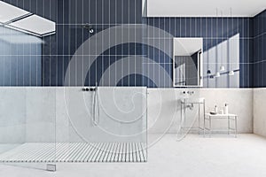 White and blue bathroom with glass shower, sink and mirror