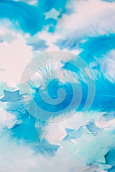 White and blue colors. Bird feather on selective focus. Close up. Background. Copy space for text. Femine, light airy Feathers photo