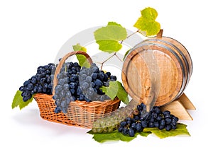 White and blue grape in basket with barrel