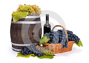 White and blue grape in basket with barrel