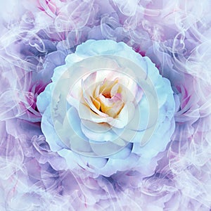 A white-blue  rose flower on a purple floral background.  Rose petals around the flower.  Flower in curls of smoke.