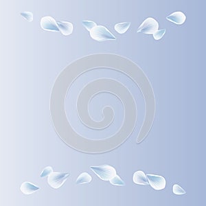 White Blue sakura flying petals isolated on Blue gradient background. Petals Roses Flowers. Vector EPS 10, cmyk