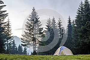 White and blue tourist tent on green meadow between evergreen fir-trees forest with beautiful mountain in distance. Tourism, outdo photo