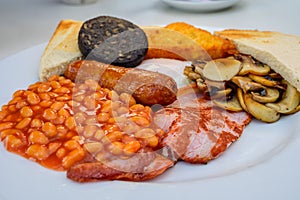 White board with full English breakfast with bacon, fried egg, beans, tomato, roasted sausage, black pudding, scons, hash browns