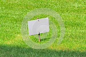 White board on lawn