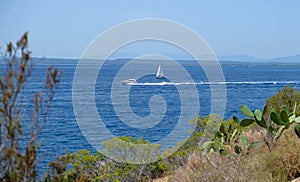 White boat sailing on calm water in a sunny day