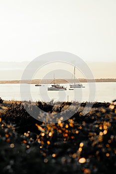 White boat on sea during golden hour