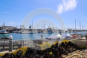 White boats and yachts at the docks in the harbor with deep blue ocean water and blue sky at Burton Chace Park