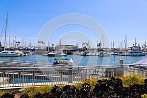White boats and yachts at the docks in the harbor with deep blue ocean water and blue sky at Burton Chace Park