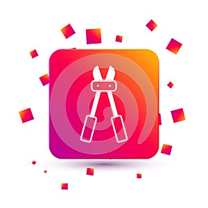 White Bolt cutter icon isolated on white background. Scissors for reinforcement bars tool. Square color button. Vector