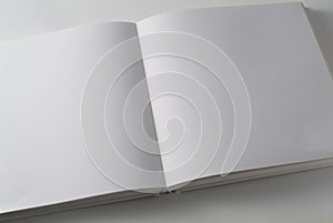 White book, double page