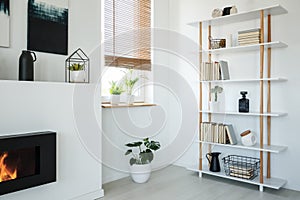 White bookcase, fireplace and window with plants set in a modern living room interior photo