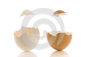 White and borwn eggs with hat