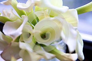 White Bouquet of Calla Lilies