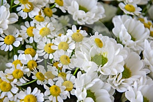 White bouquet of daisies and chrysanthemums wrapped in newsprint in a vase, cropped