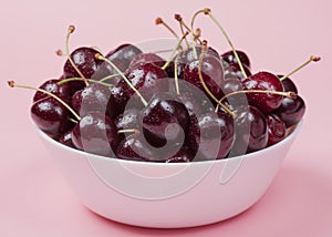 White bowl of fresh red cherries on a pink background. close-up