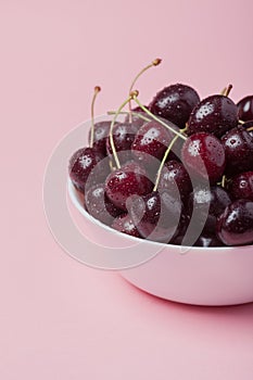 White bowl of fresh red cherries on a pink background. close-up