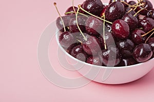 White bowl of fresh red cherries on a pink background. Copy space. close-up