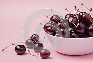 White bowl of fresh red cherries on a pink background. Copy space. close-up